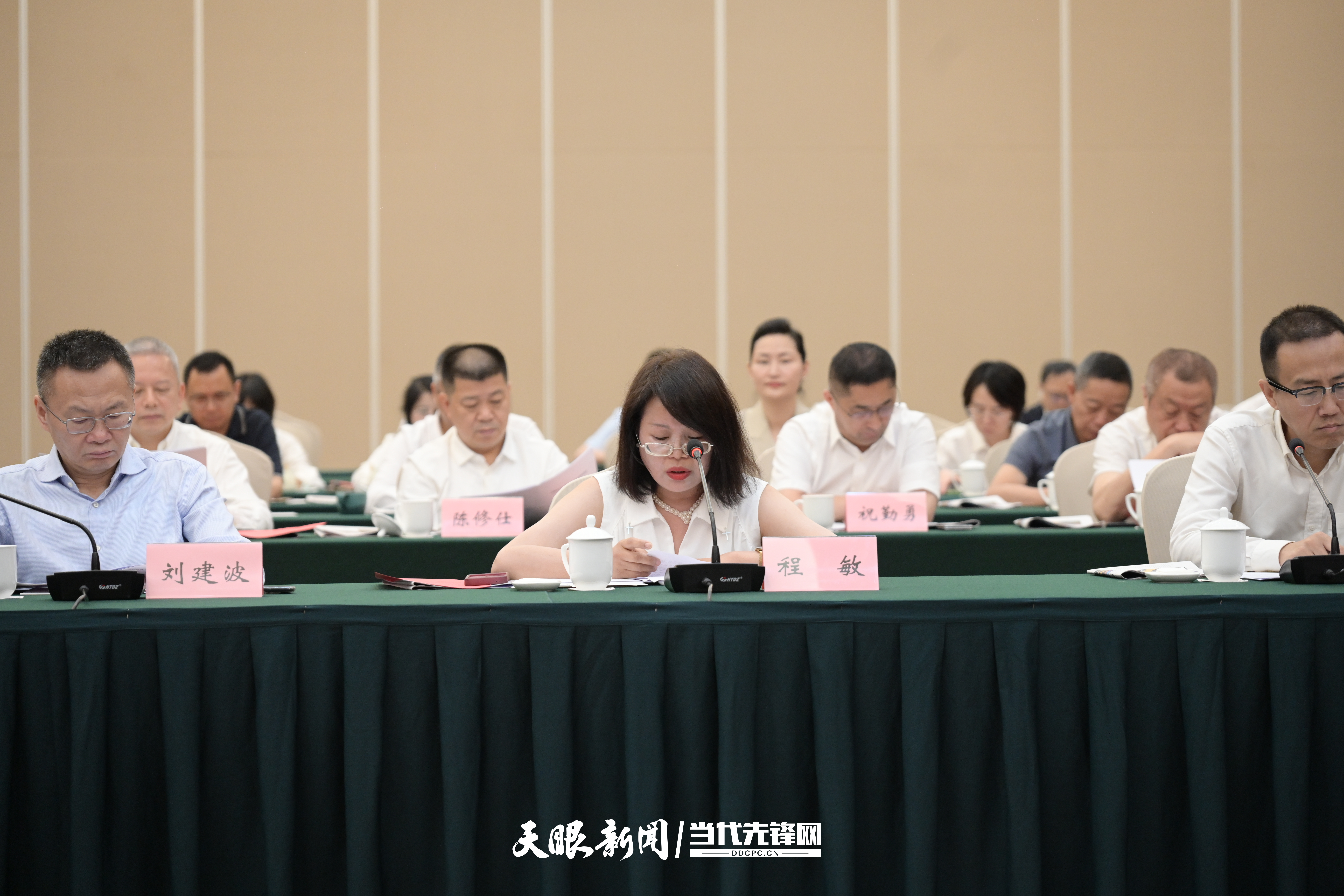 程敏發(fā)言.jpg