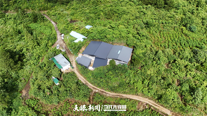 DJI_20250627163935_0138_D.jpg