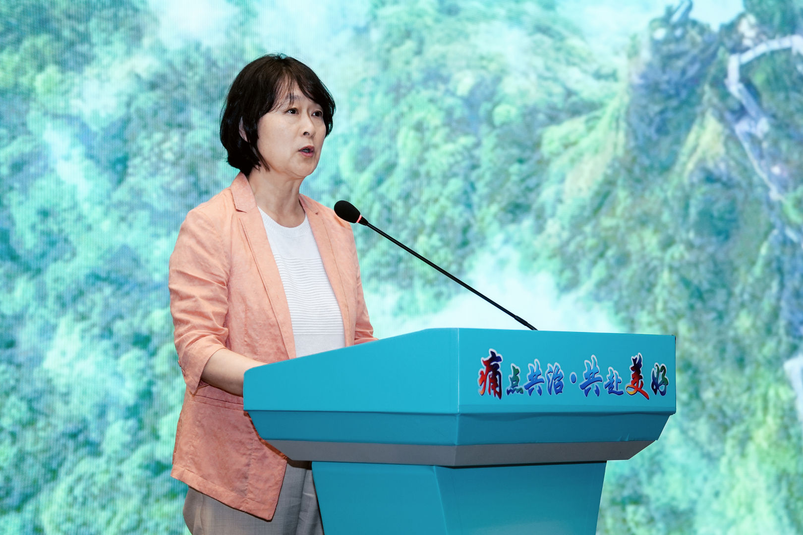 貴州省文化和旅游廳黨組成員、副廳長(zhǎng)李芳致辭.jpg