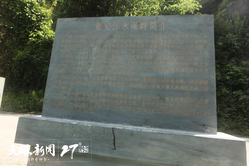 17506416645929_a.jpg