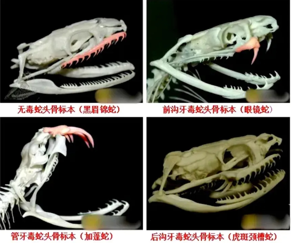 微信截圖_20250701223931.png