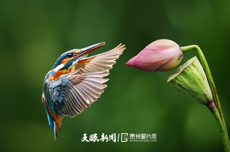 37a7589b1ee257b323aad13629e00d6.jpg