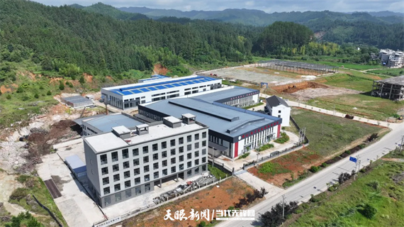 贵州鑫辰食品有限公司黄蜀葵产业.jpg