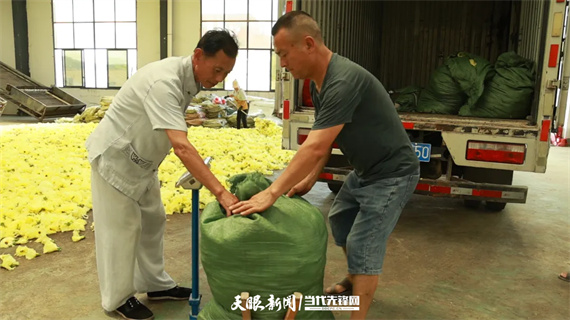 贵州鑫辰食品有限公司黄蜀葵产业3.jpg