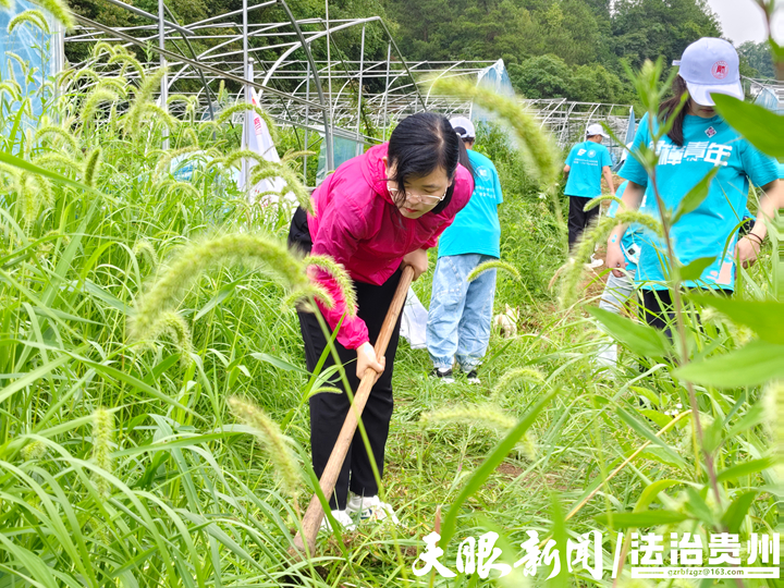 杜老師除草.jpg