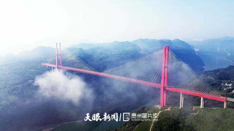898582-2025年7月29日，在貴州省黔西市新仁鄉(xiāng)航拍貴黔高速（貴陽市至黔西市）鴨池河特大橋，與云霧、山川、碧水交相輝映，構成一幅壯麗的交通山水畫卷。.jpg