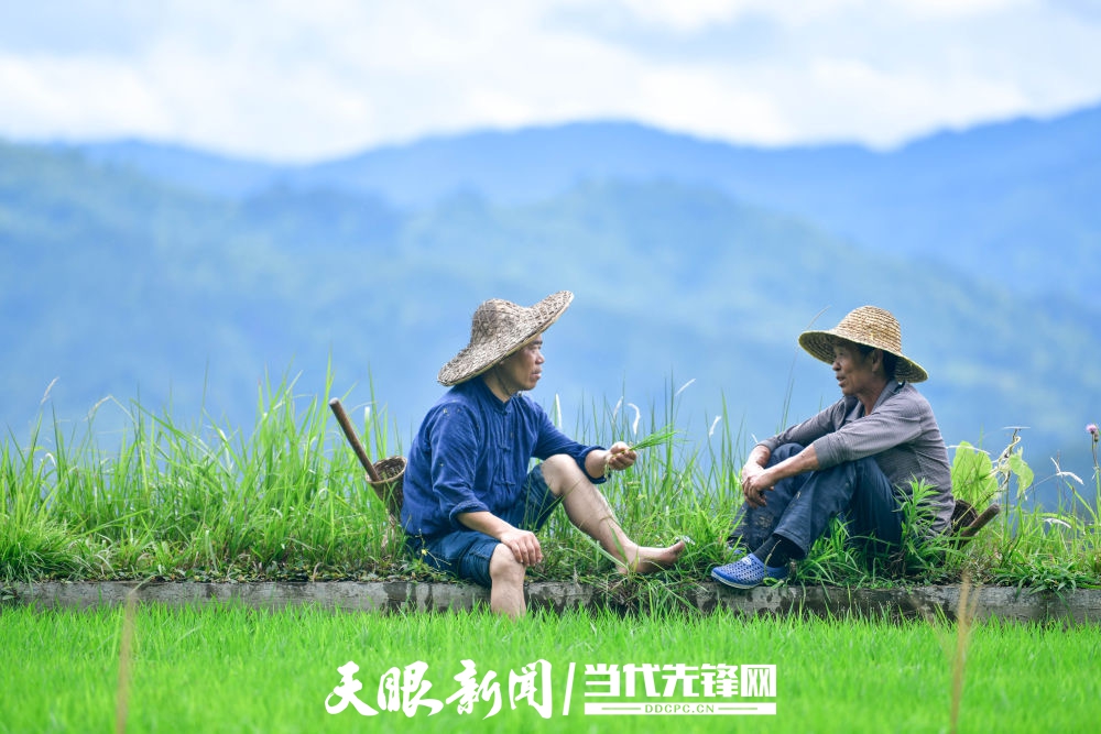 微信圖片_20250804152938.jpg