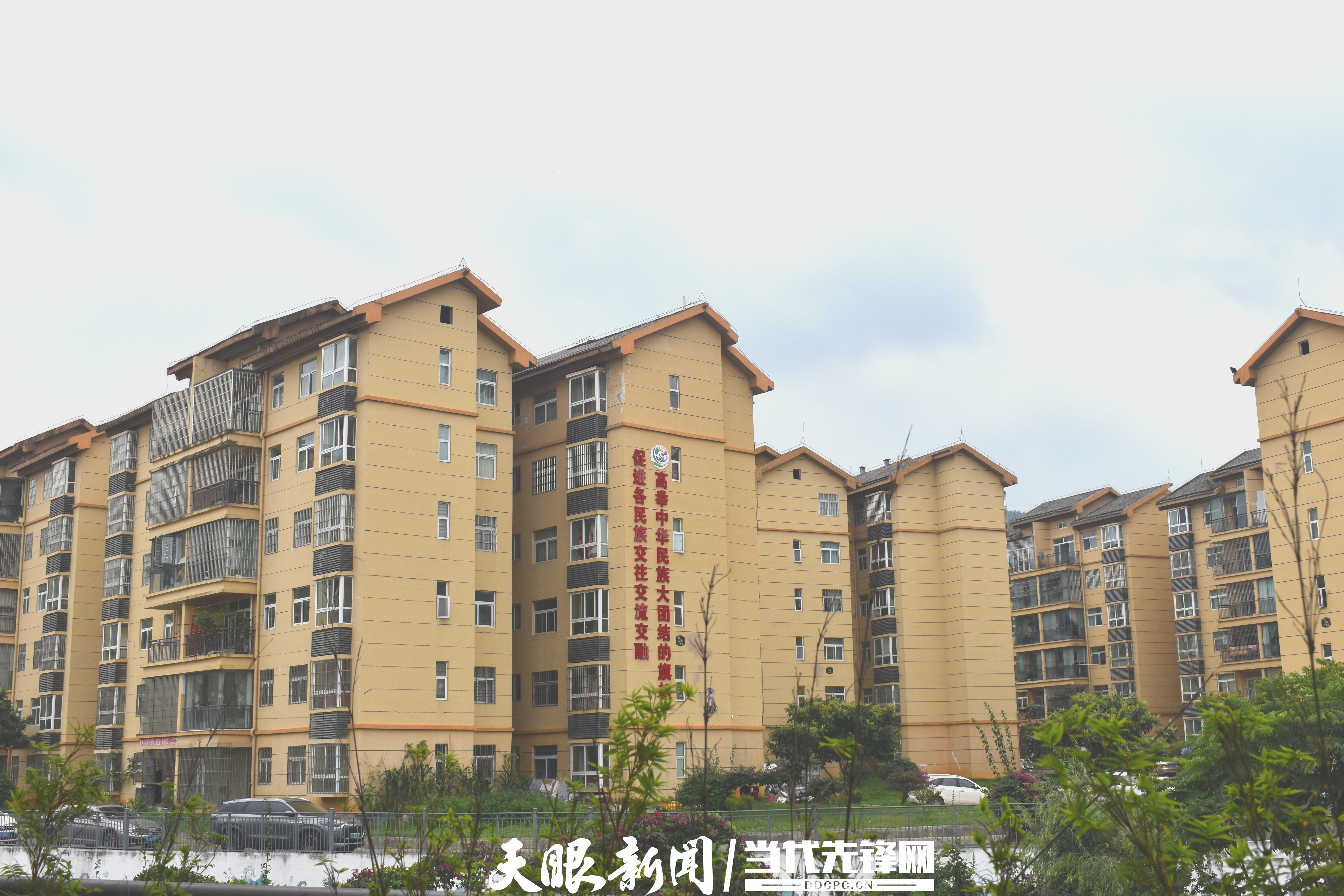 微信圖片_2025-08-01_150831_270.jpg