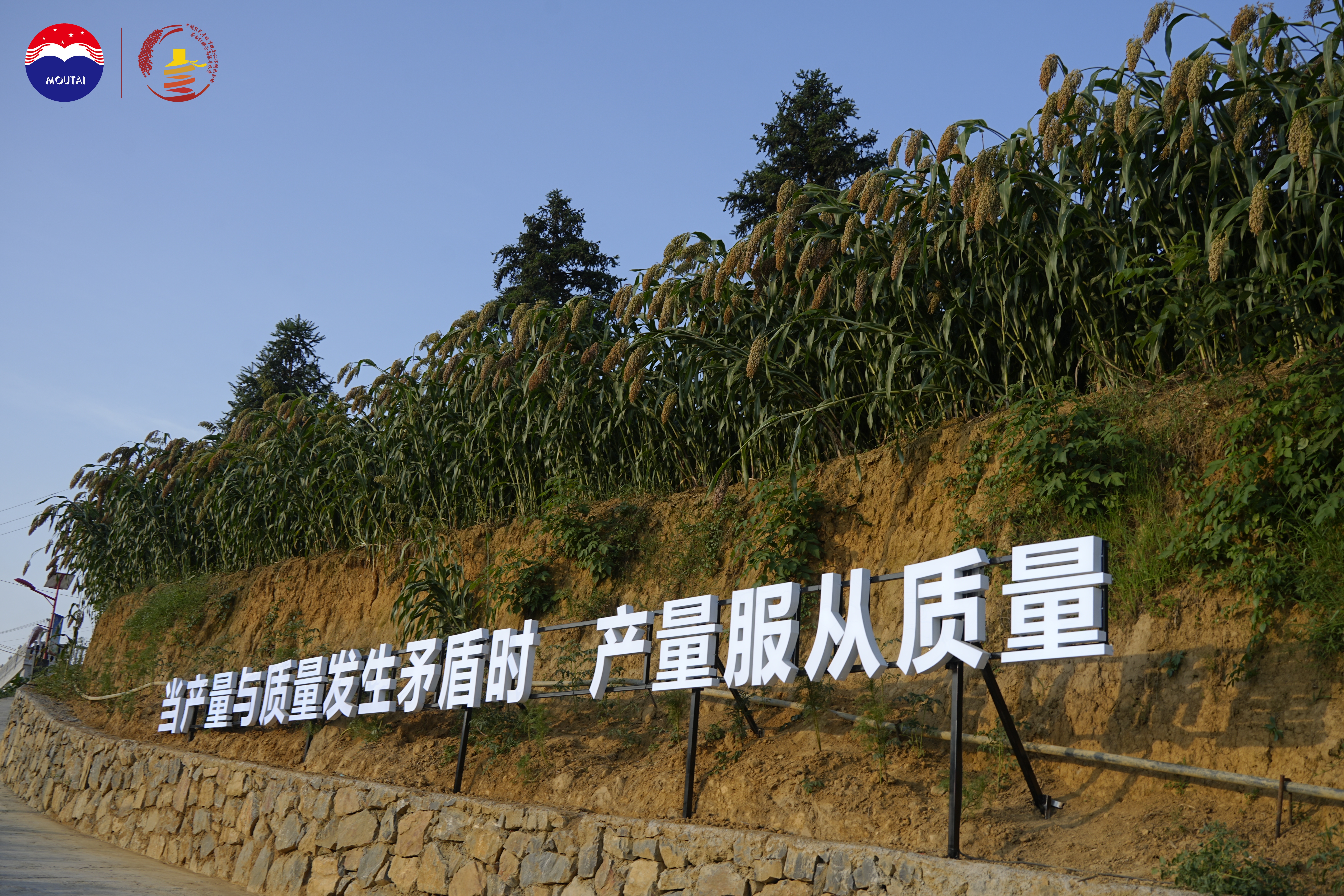 _DSC0578.JPG