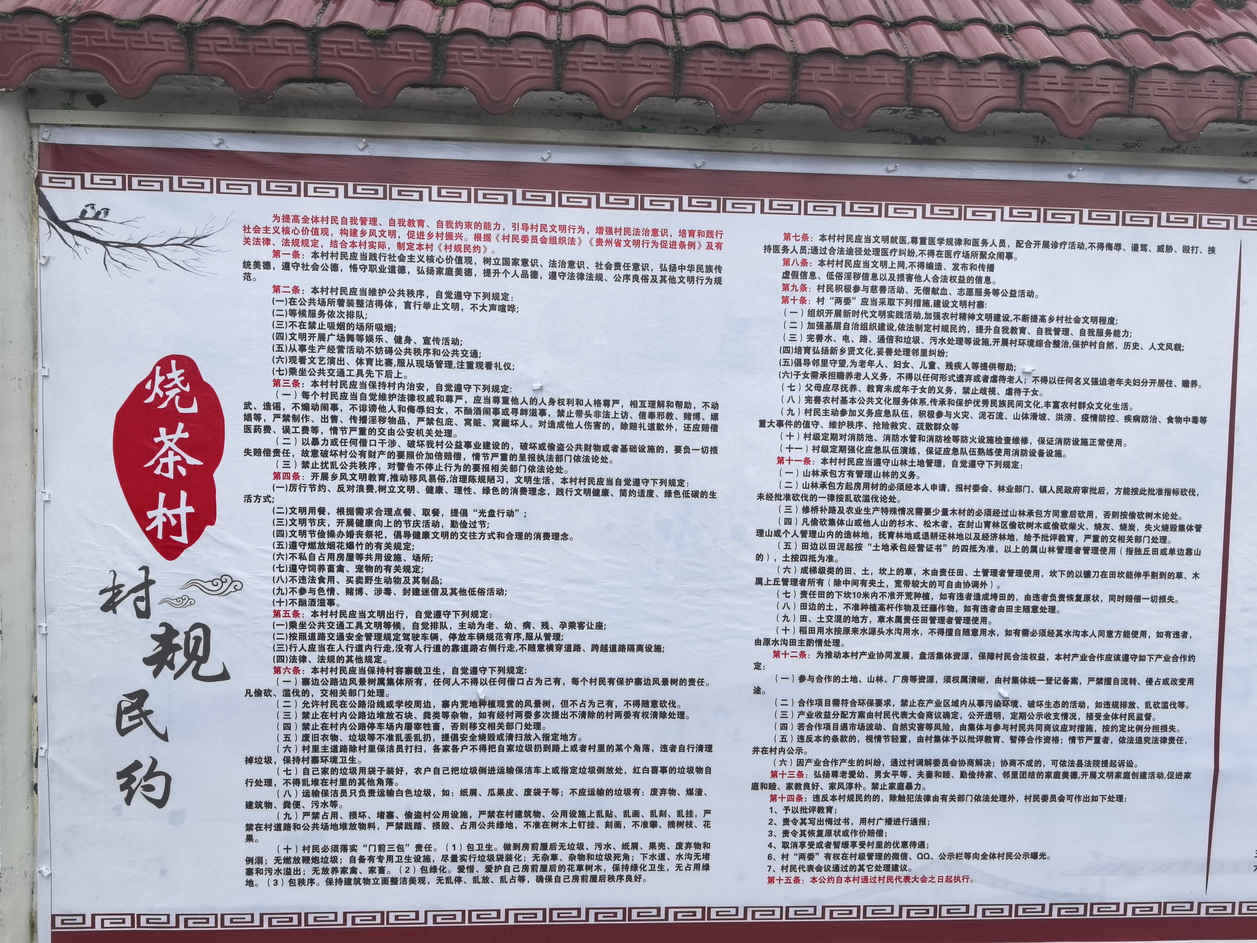WechatIMG6900.jpg