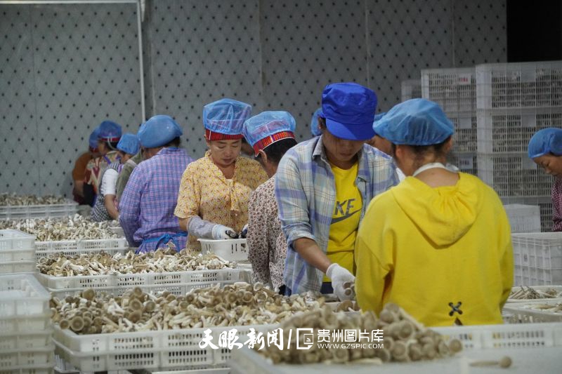 632256-車間內(nèi)，實現(xiàn)就近就業(yè)的當(dāng)?shù)厝罕娬β档胤謷鴦倓偛烧木?。（歐陽章杰攝）.jpg