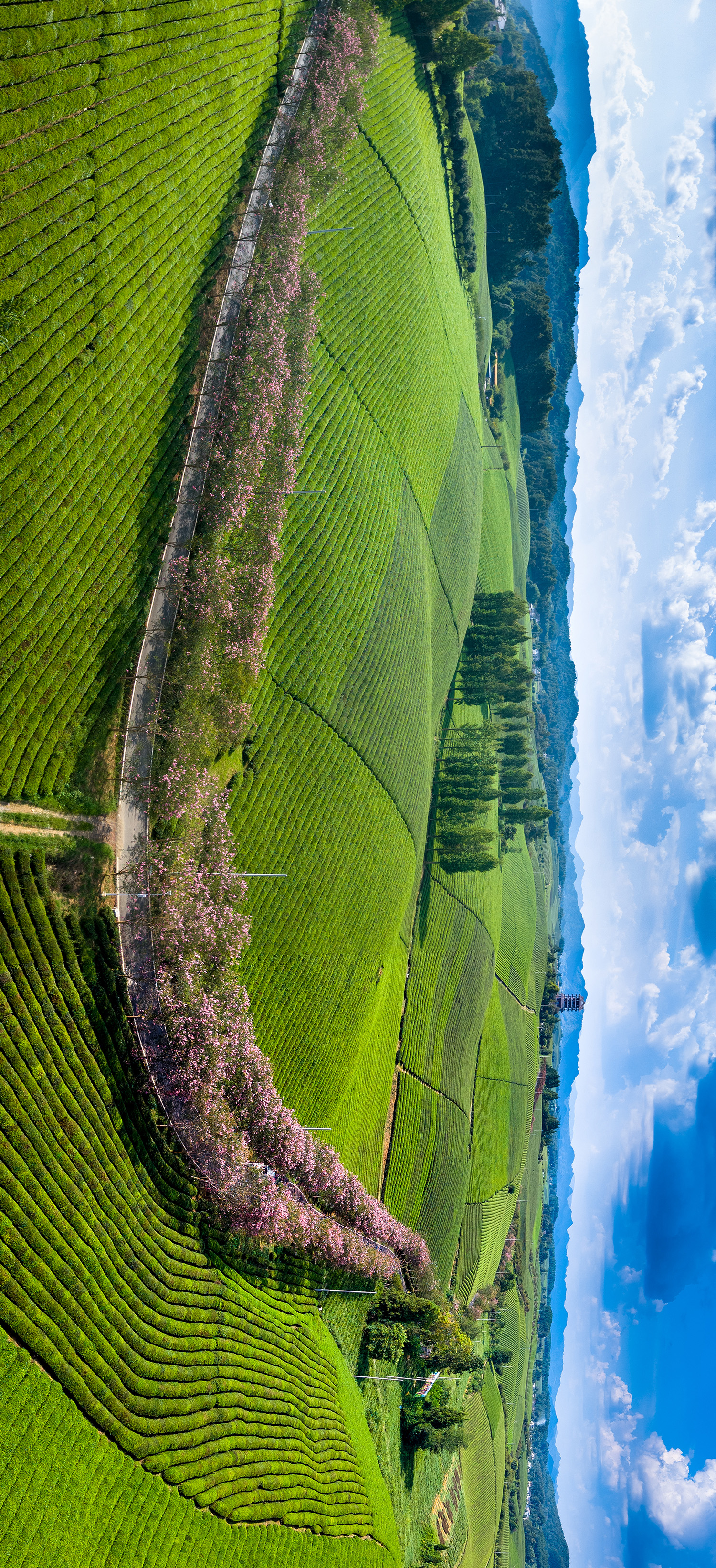 DJI_20250807162937_0083_D-Pano.jpg