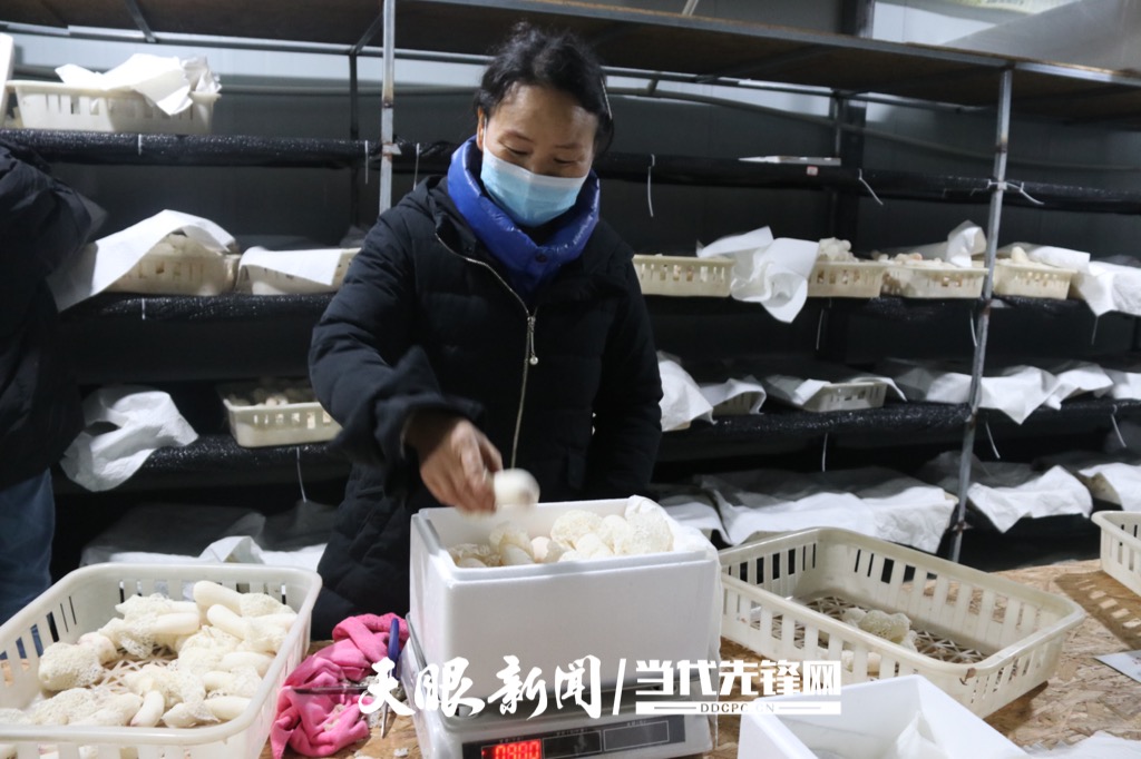 村民在冷链室打包红托竹荪_Watermarked_1.JPG