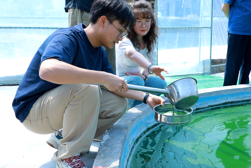 显微镜下的“三笔账”