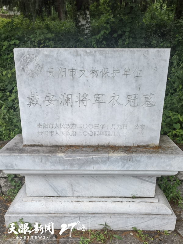 17561763438979_a.jpg