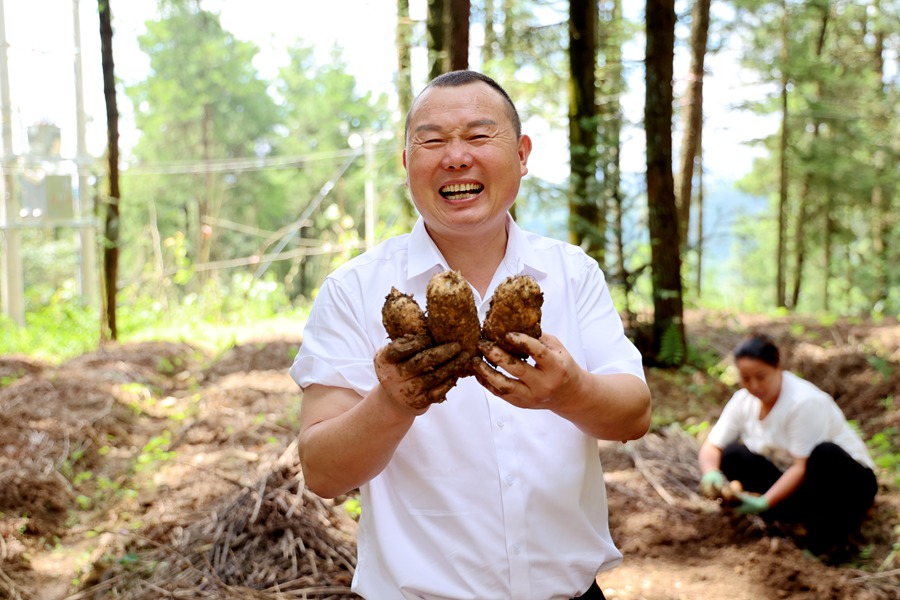 丰收的喜悦.JPG