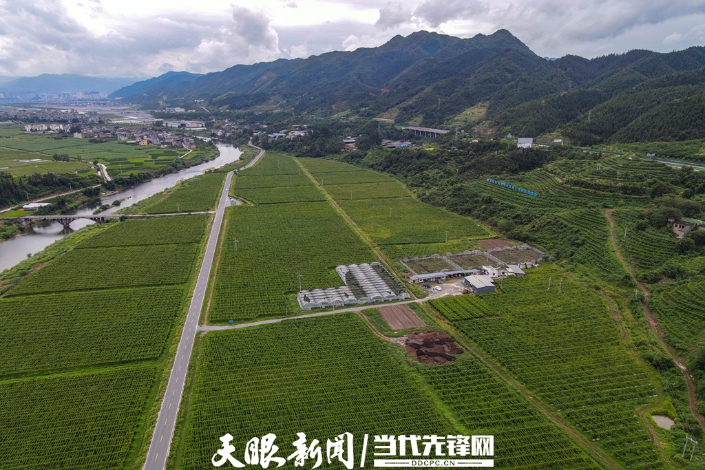 DJI_854.jpg
