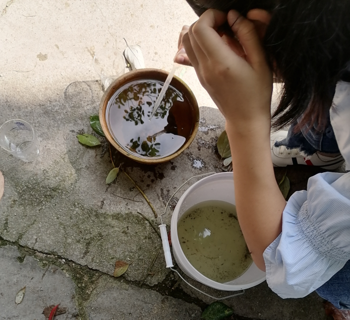 蚊子器皿.png