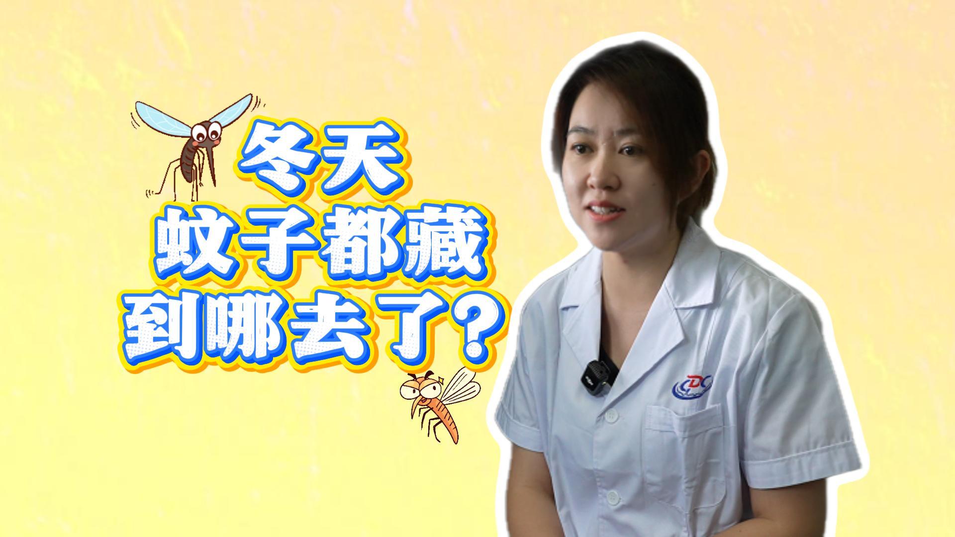 蚊子1.jpg