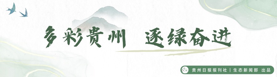 微信圖片_2025-08-12_145335_153.jpg