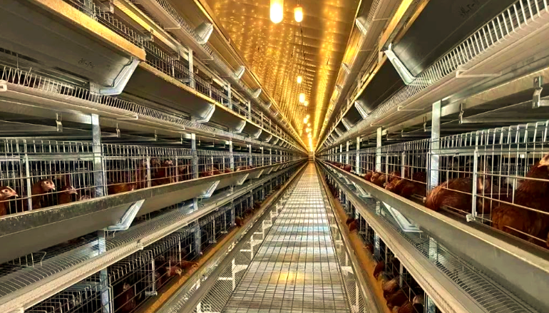 dD0xNzU5MTM2NjgxX3I9OGQ1ODAwODdfdz03NzBfcT0xMDBfZT1wbmc=.webp 0f8860547599b1c7b9bcd8ee056e8cc.png