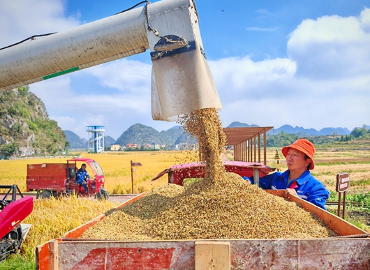 dD0xNzU5MTM2NzQ4X3I9ZmMyMjZkZjZfdz01MzBfcT0xMDBfZT1wbmc=.webp feaf61922b1b169c41c4035fb898b68.png