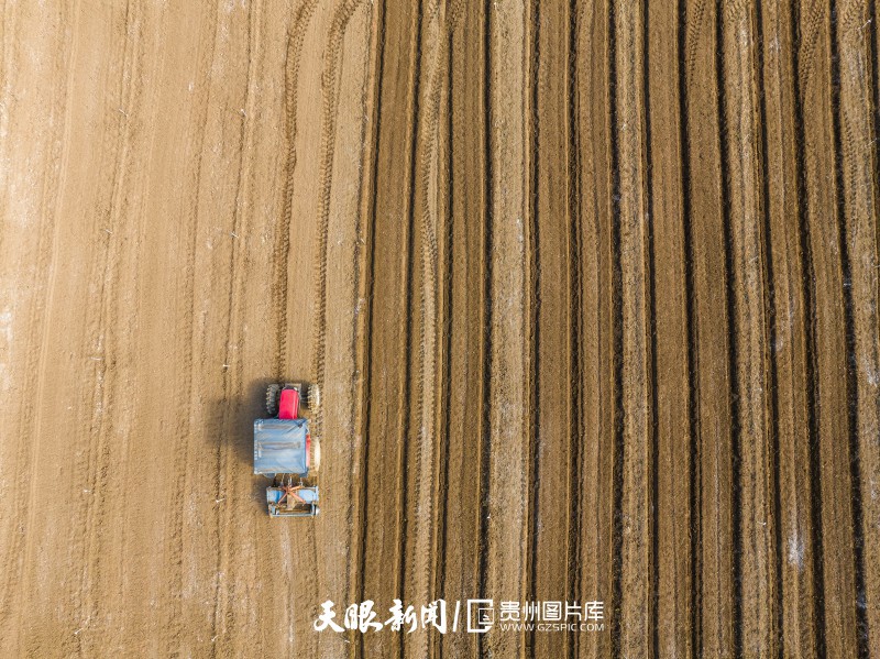 dD0xNzU5NTMwMjIxX3I9YzFjNzJhMTBfdz04MDBfcT0xMDBfZT1qcGc=.webp 49DEC8A9B9DC7BBF97FF5491D38A8F7A.jpg