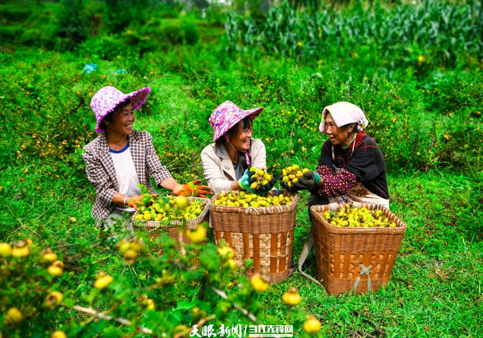 dD0xNzU5NTMwMjY4X3I9NDI3MjFiNDhfdz05NjBfcT0xMDBfZT1qcGc=.webp 4A9F9F2DC7819D0390DF30A01C337D77.jpg