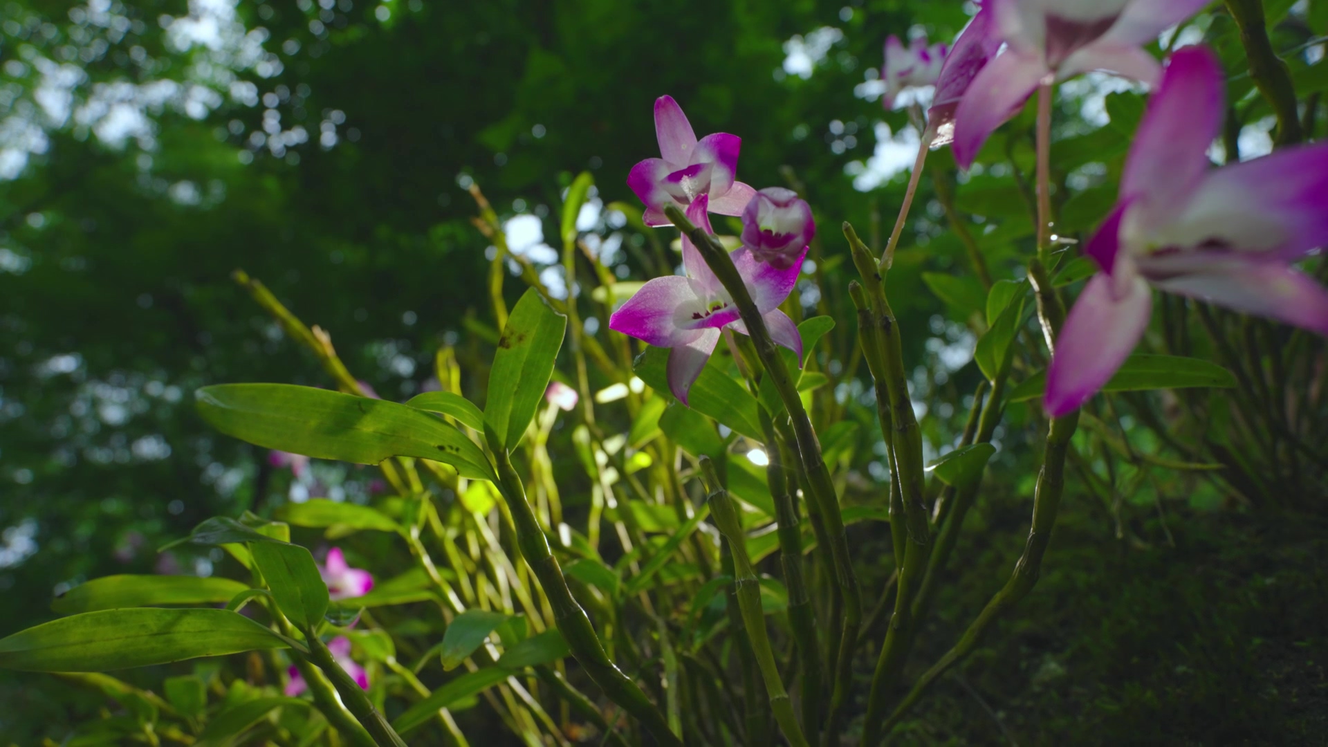 药药药 裸.mp4_20251009_121405.612.jpg