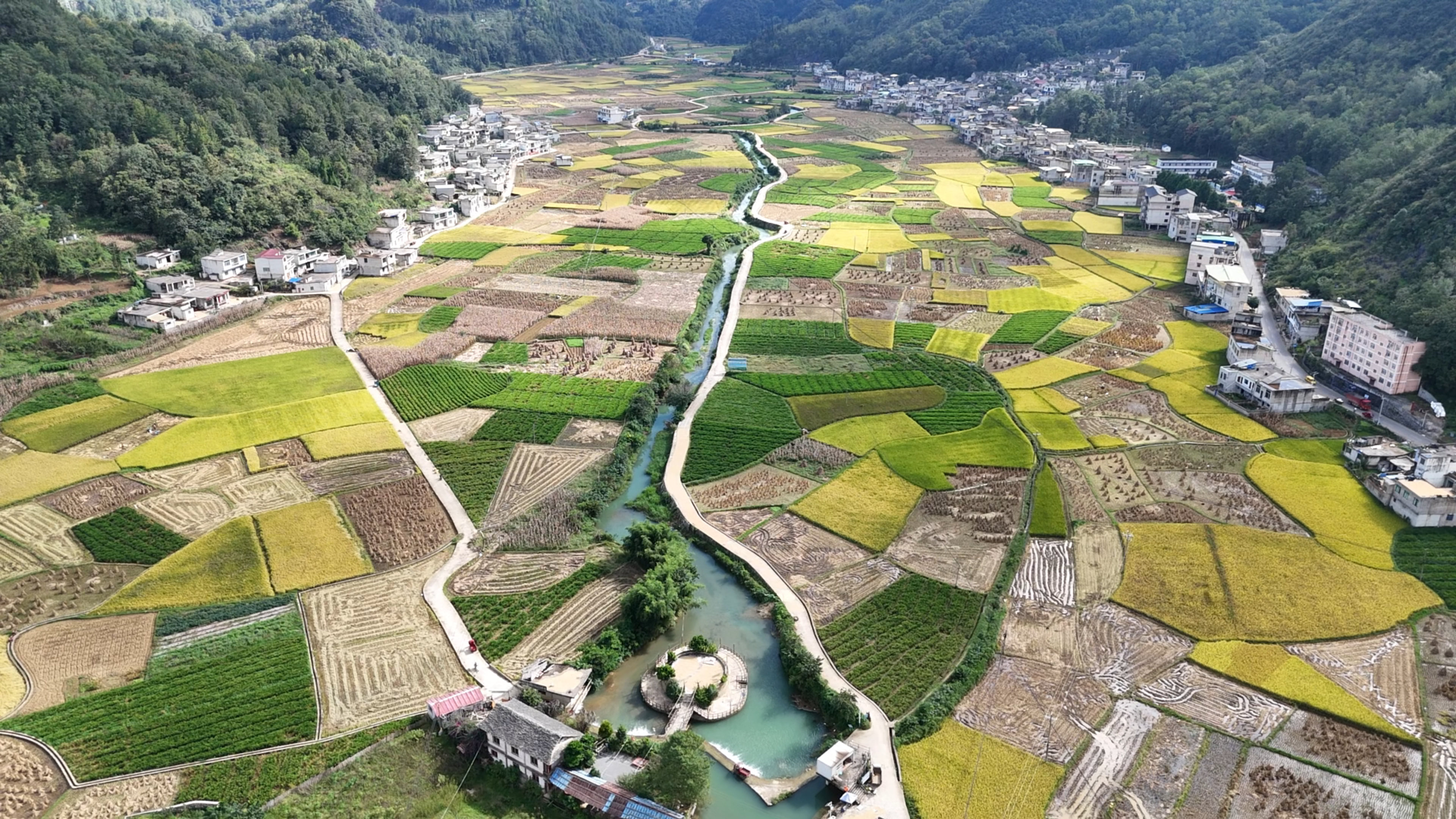 17603417413657.jpg 丰收图5.jpg