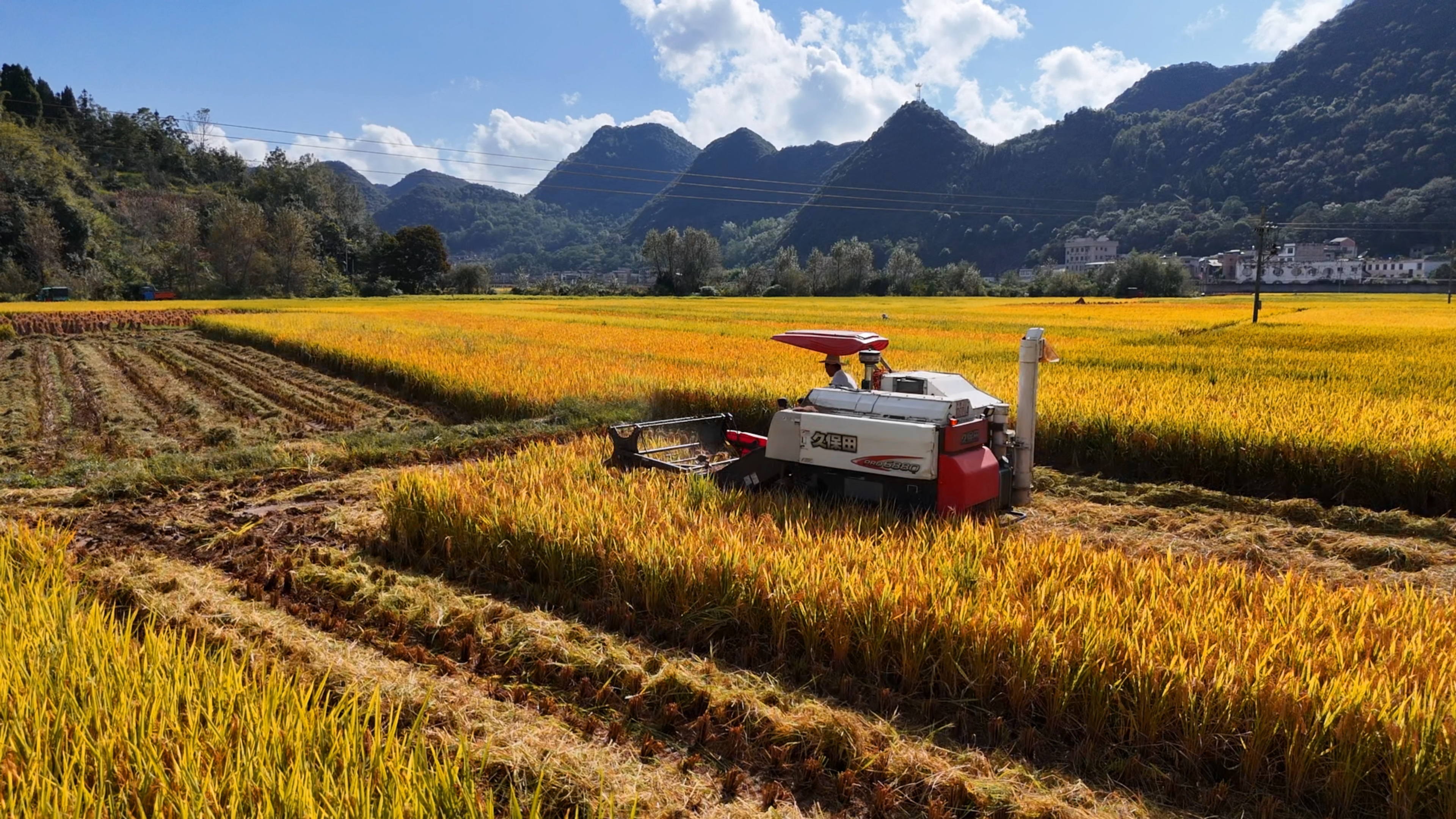 17603417641021.jpg 丰收图3.jpg