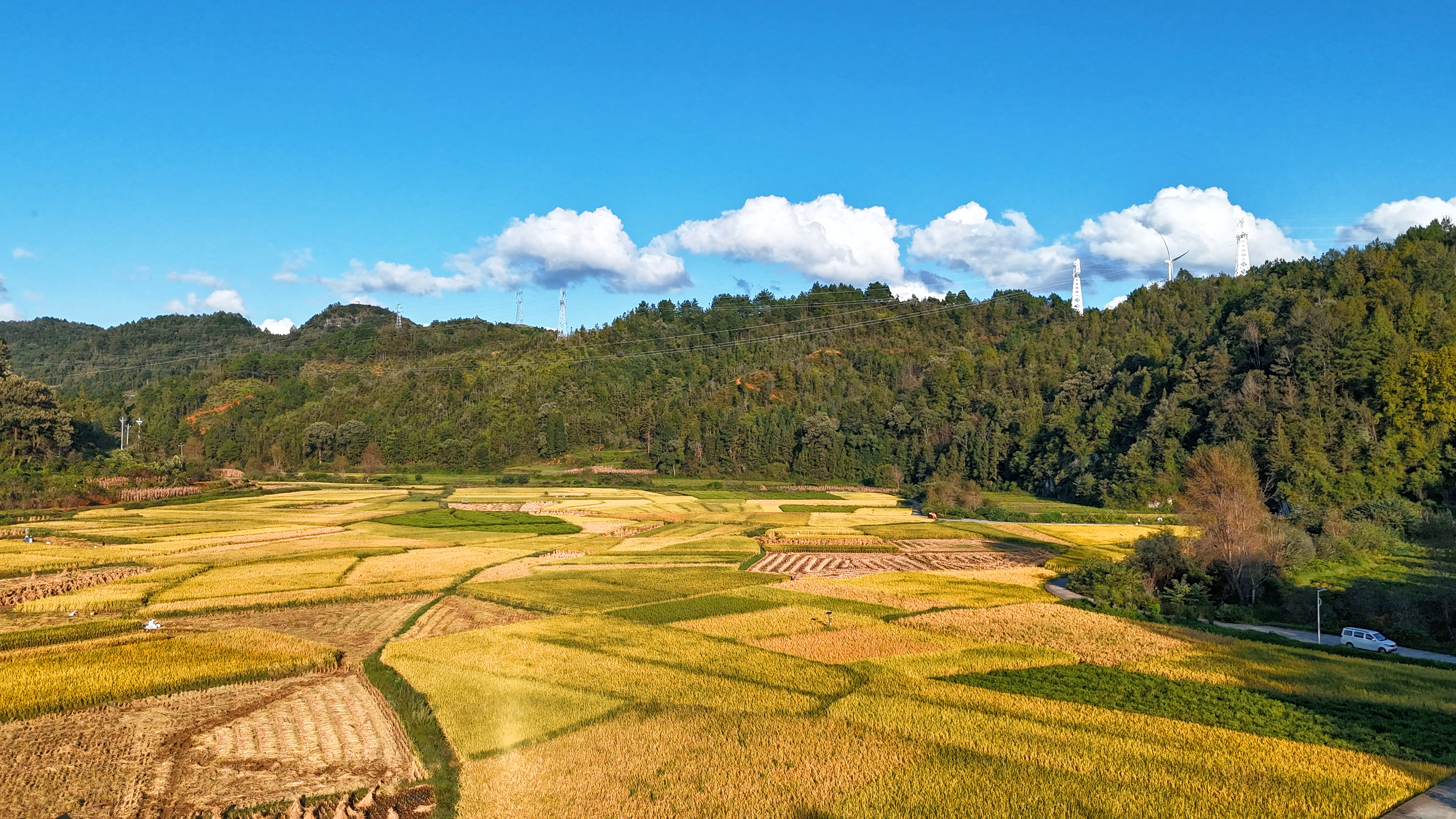 17603417555279.jpg 丰收图6.jpg