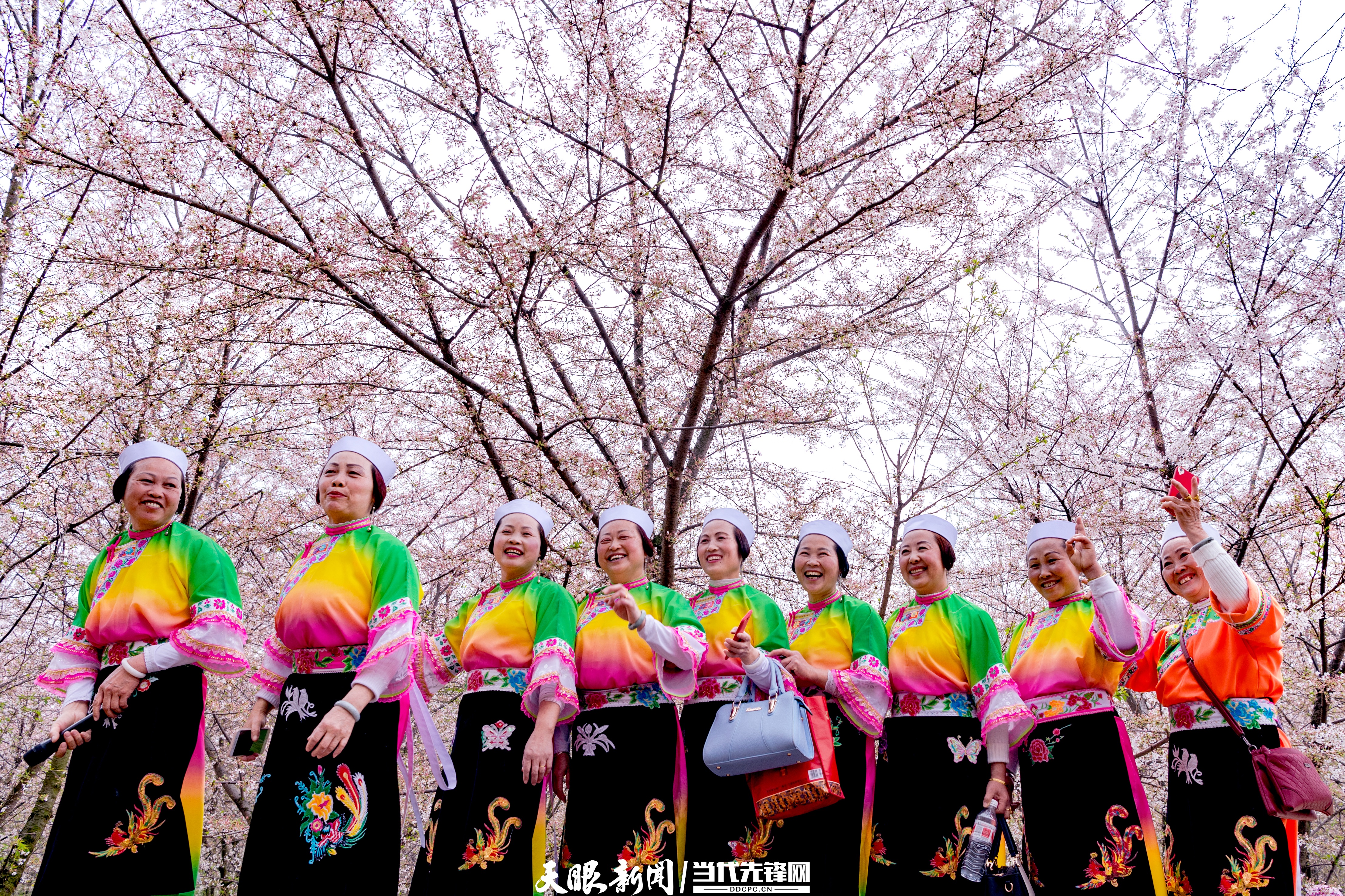 dD0xNzYwMzkxNTQ0X3I9NzliMzA4ZjNfdz0xMDgwX3E9MTAwX2U9anBlZw==.webp WechatIMG86.jpeg