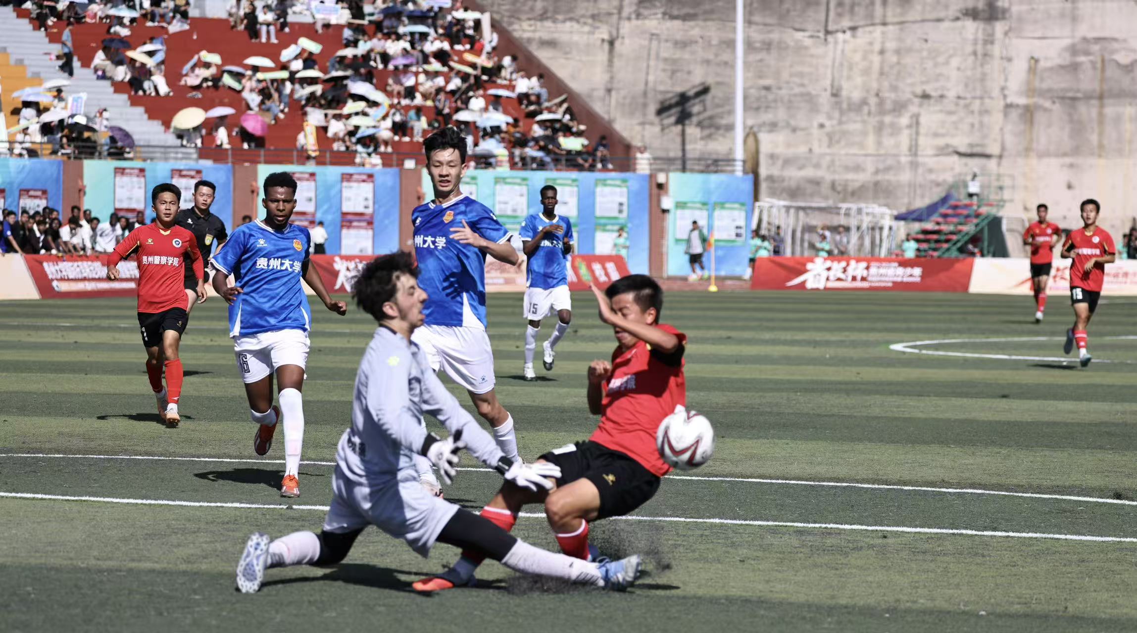 dD0xNzYwNjczMTc2X3I9MTEwMTE2MGJfdz0xMDgwX3E9MTAwX2U9anBn.webp 416407f2be5df8e3df5f7d7c6f3cfeda.jpg