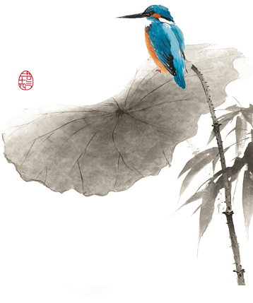 鳥類.png