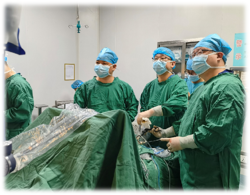 5.幫扶團(tuán)隊(duì)在織金縣人民醫(yī)院指導(dǎo)開展胃癌根治術(shù).png