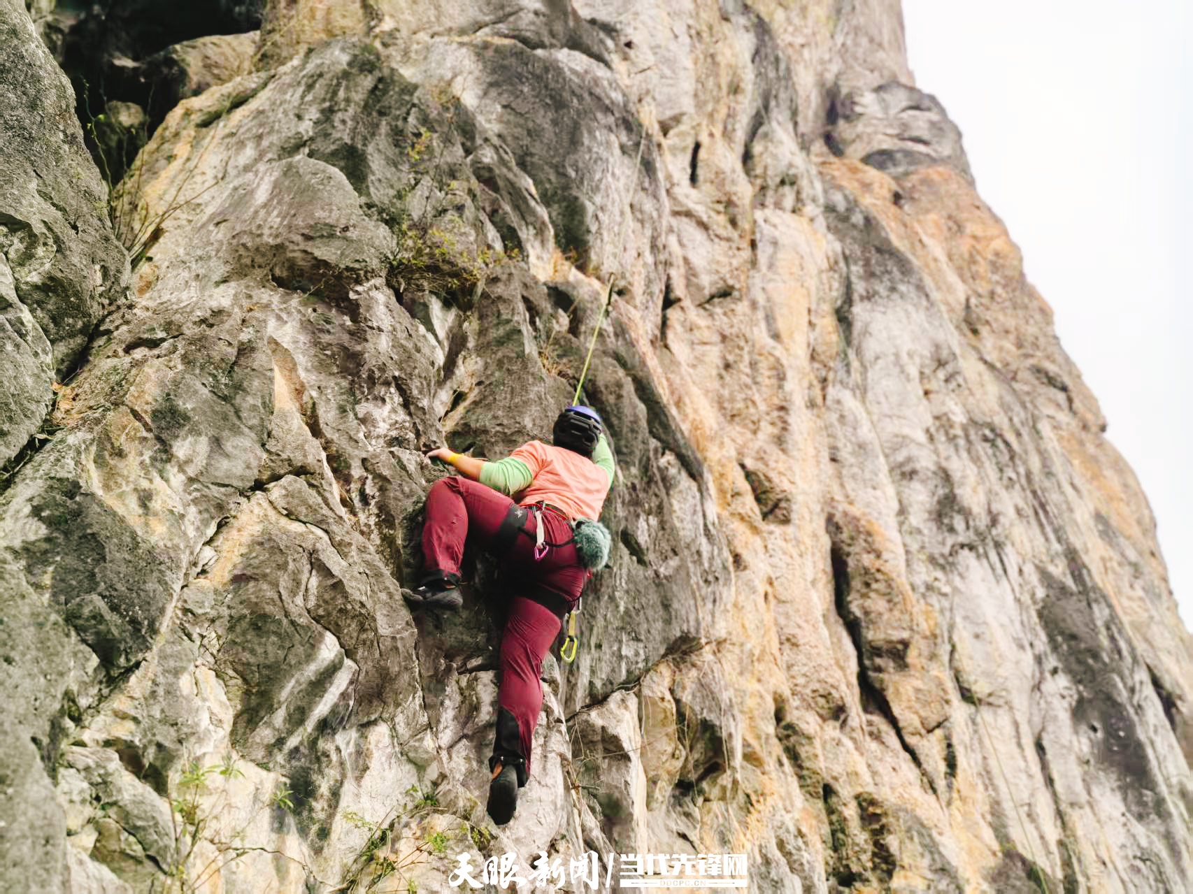 17617041499151.jpeg WechatIMG6375.jpeg