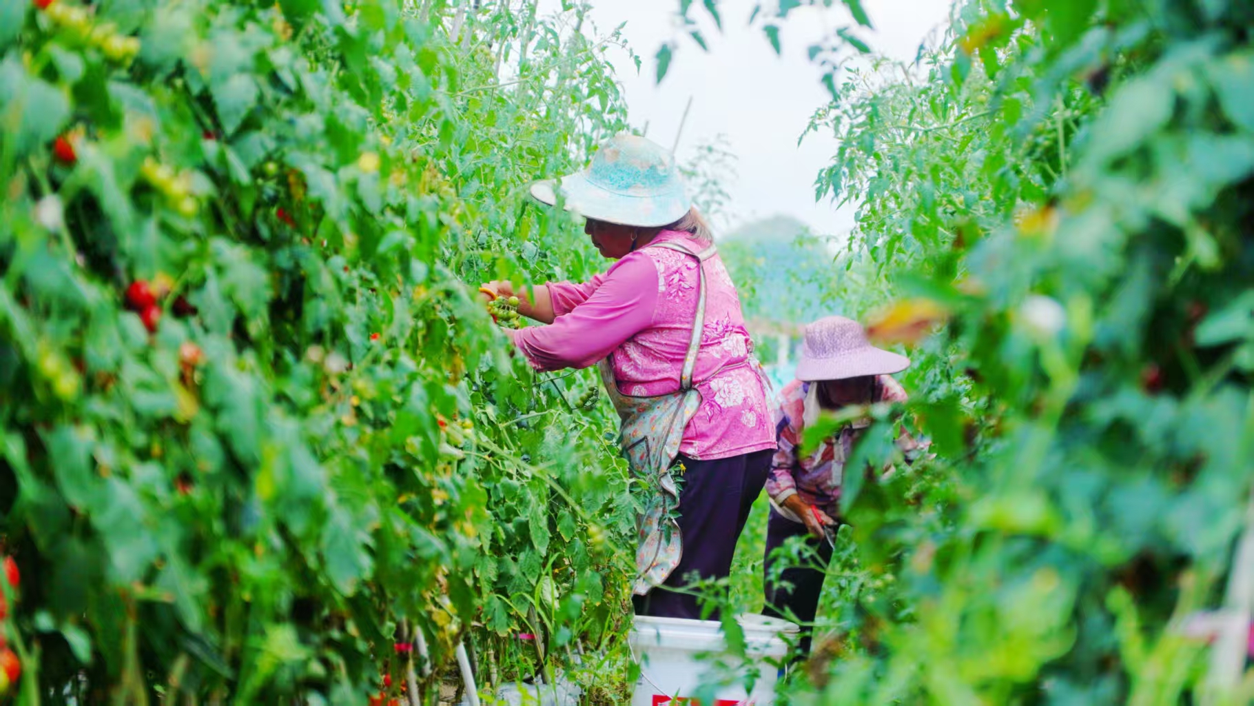 17618871349681.jpg 微信图片_20251031113028_564_56.jpg