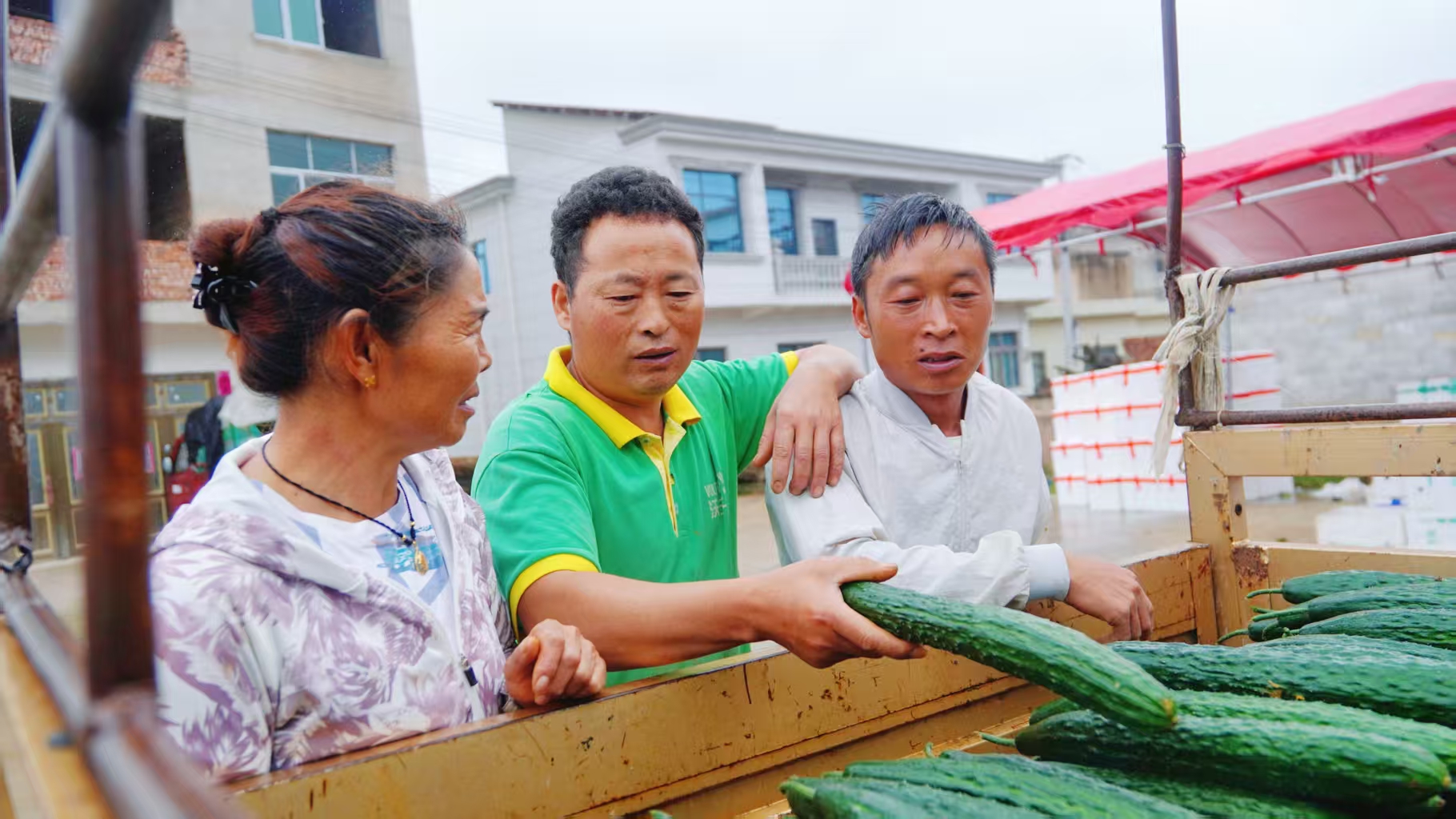 17618871414312.jpg 微信图片_20251031113026_562_56.jpg