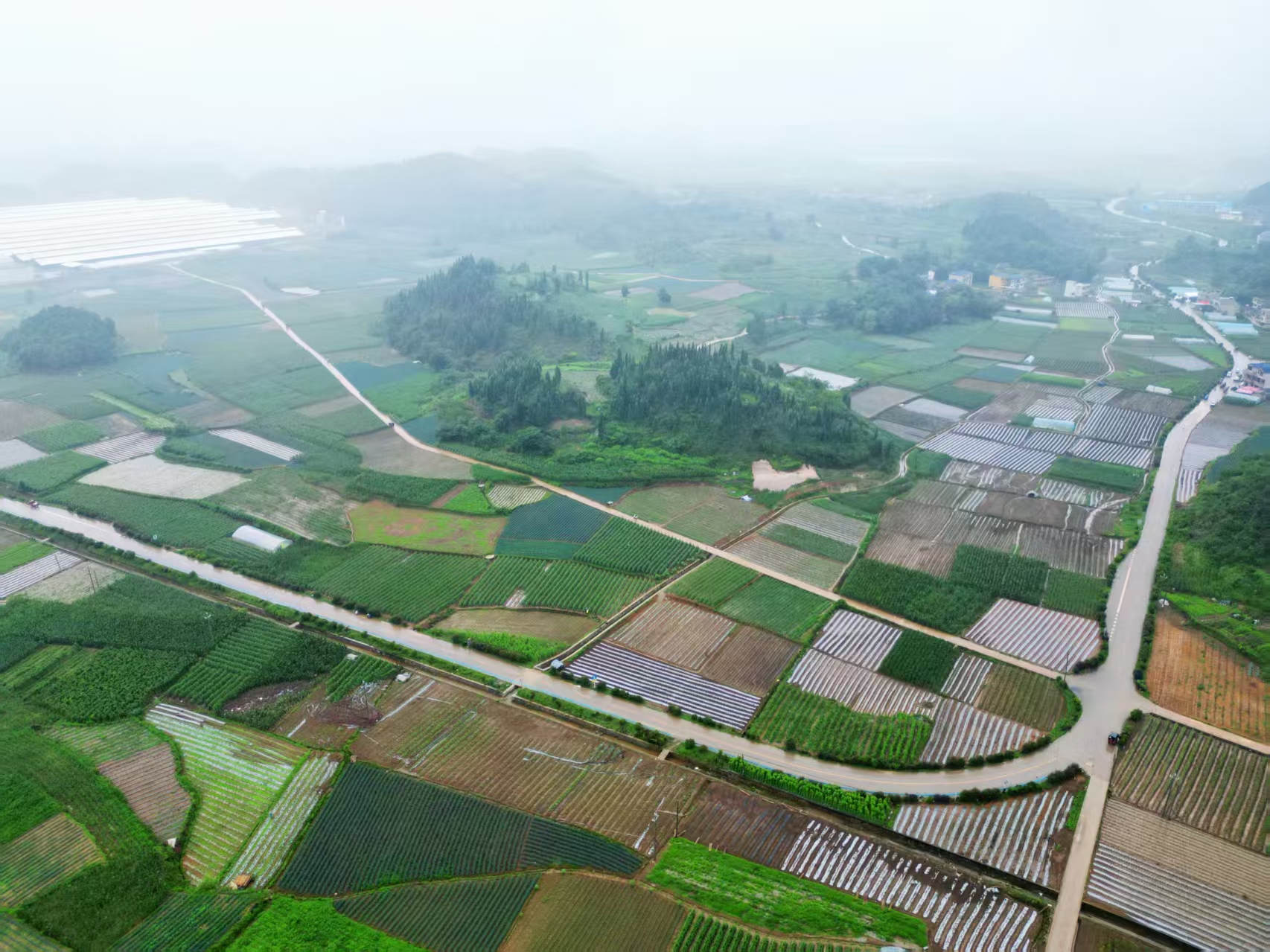 17618871472676.jpg 微信图片_20251031113024_561_56.jpg