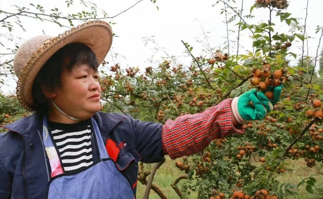 17621833175514.jpg 640.jpg