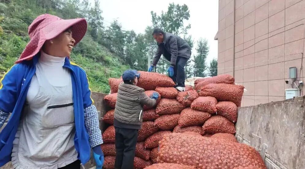 17621833256768.jpg 640 (2).jpg