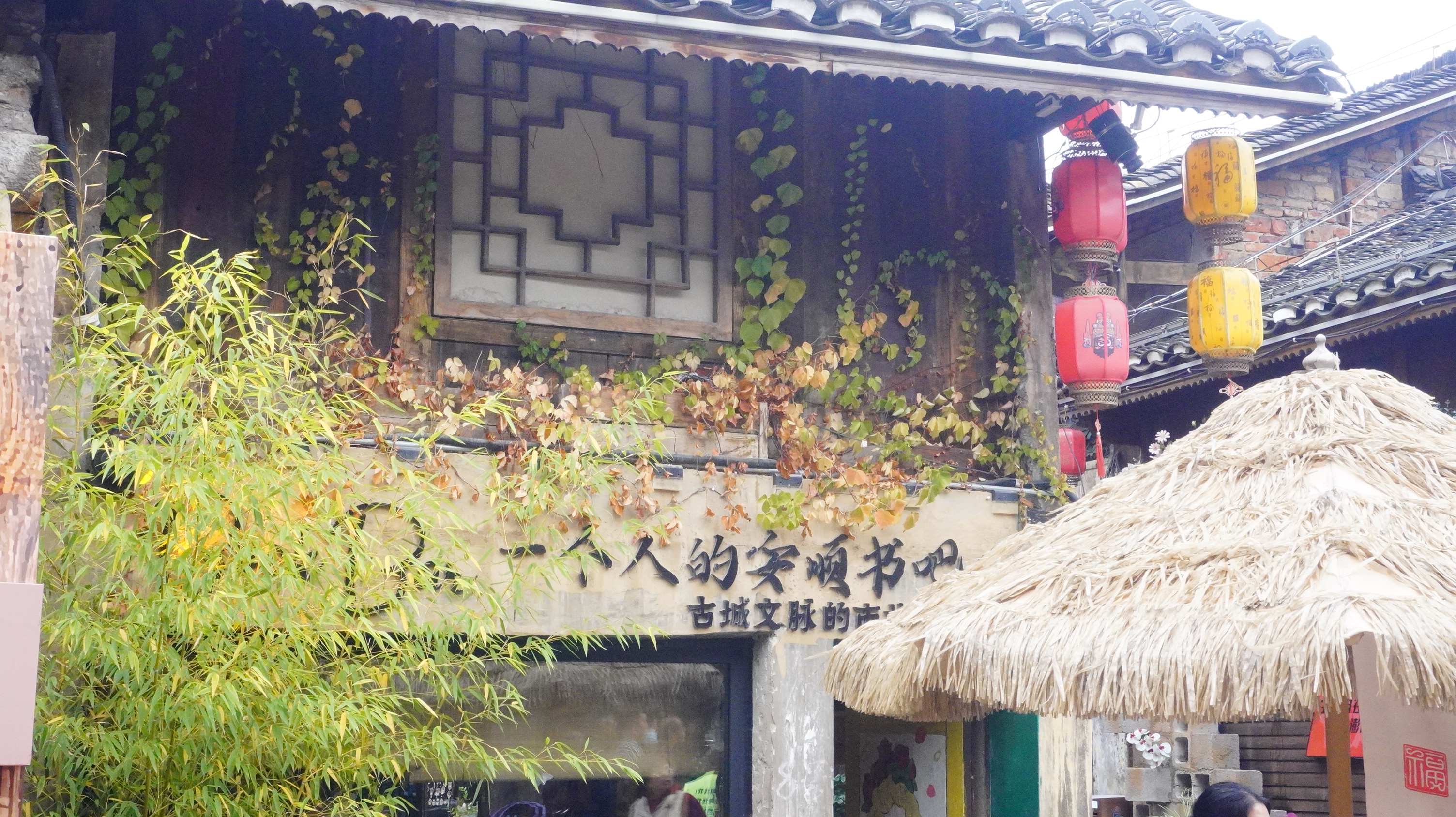 17626935433156.JPG _DSC9788.JPG