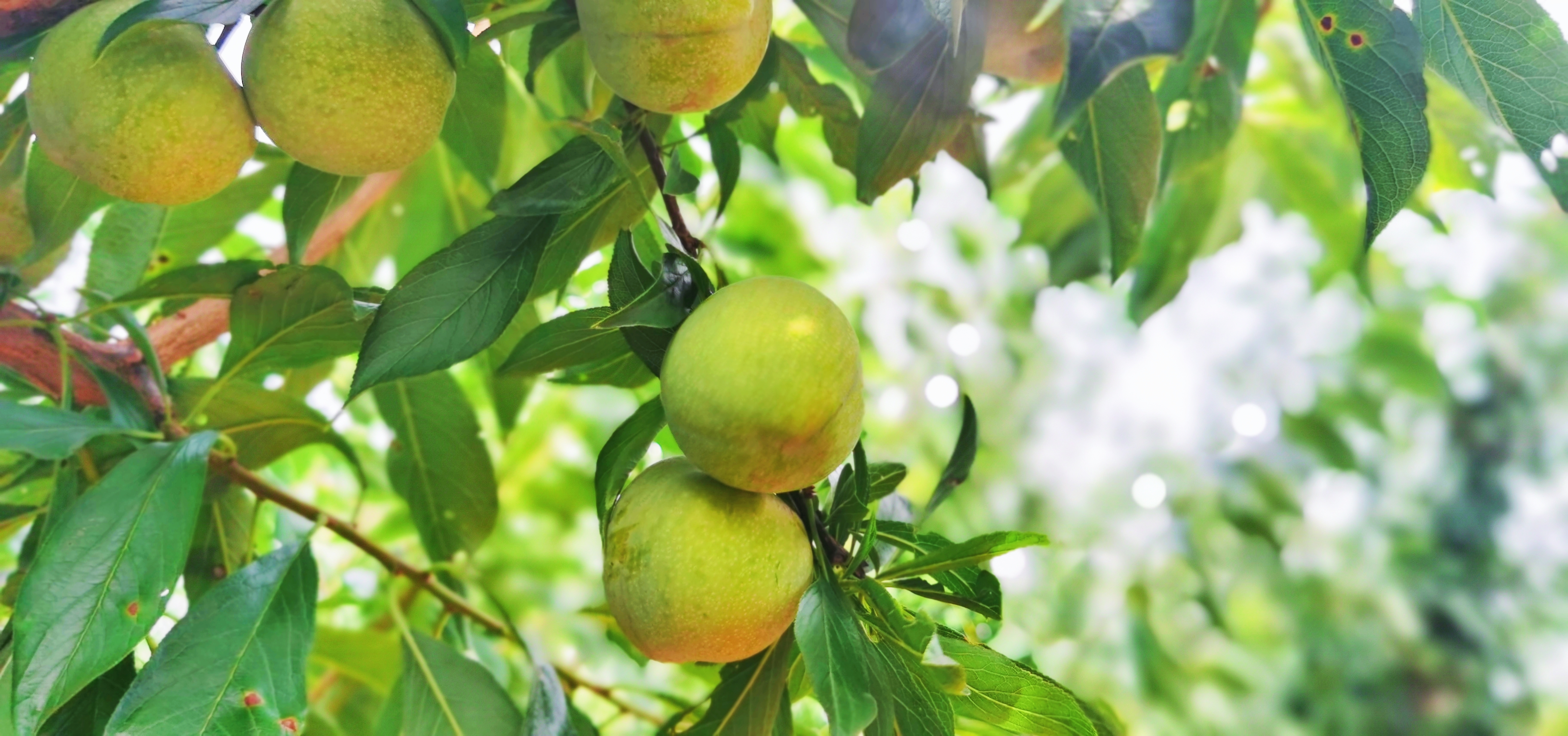 dD0xNzYyNzQ3ODU2X3I9ZDkzYTZhMGZfdz0xMDgwX3E9MTAwX2U9anBn.webp 微信图片_20241101152022.jpg