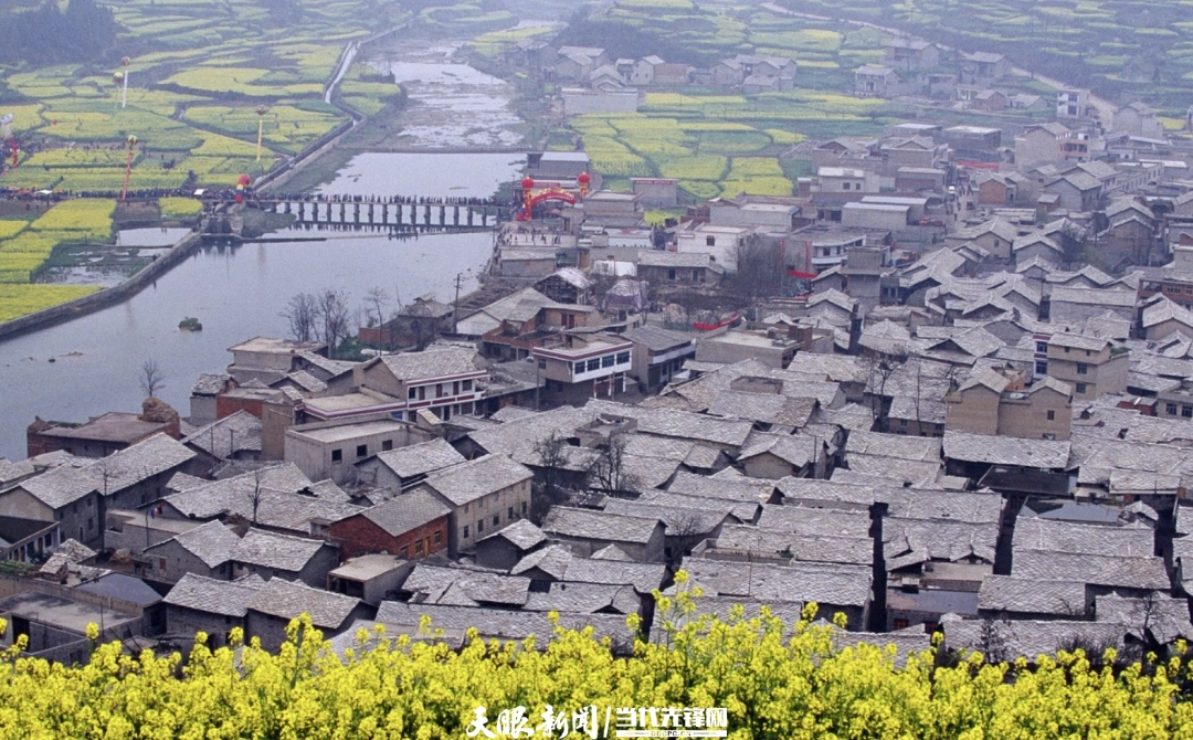 17627850889779 (1).jpg