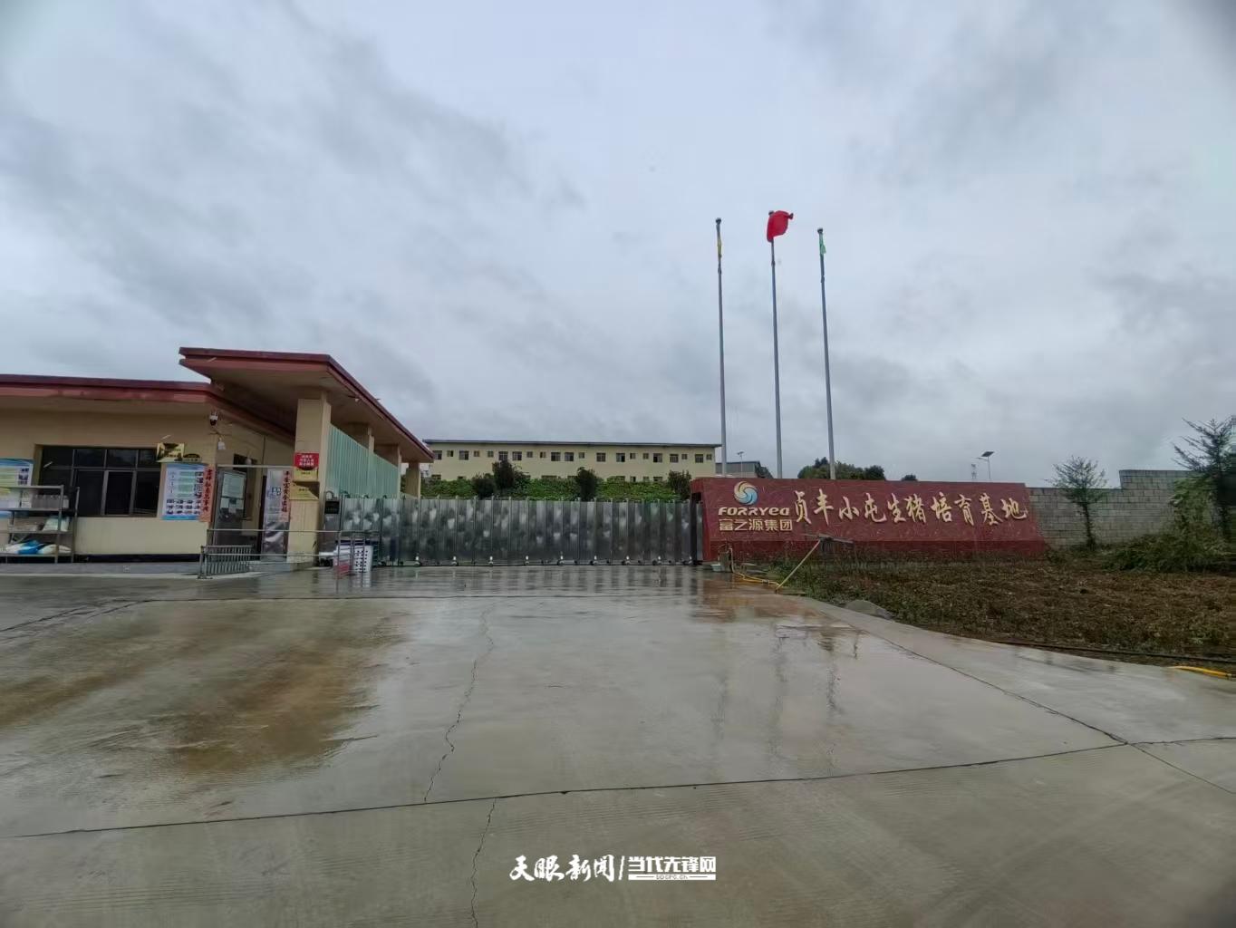 dD0xNzYyOTM5MTA3X3I9YWFmMzJlMmFfdz0xMDgwX3E9MTAwX2U9anBn.webp 微信图片_20251112171404_465_4.jpg