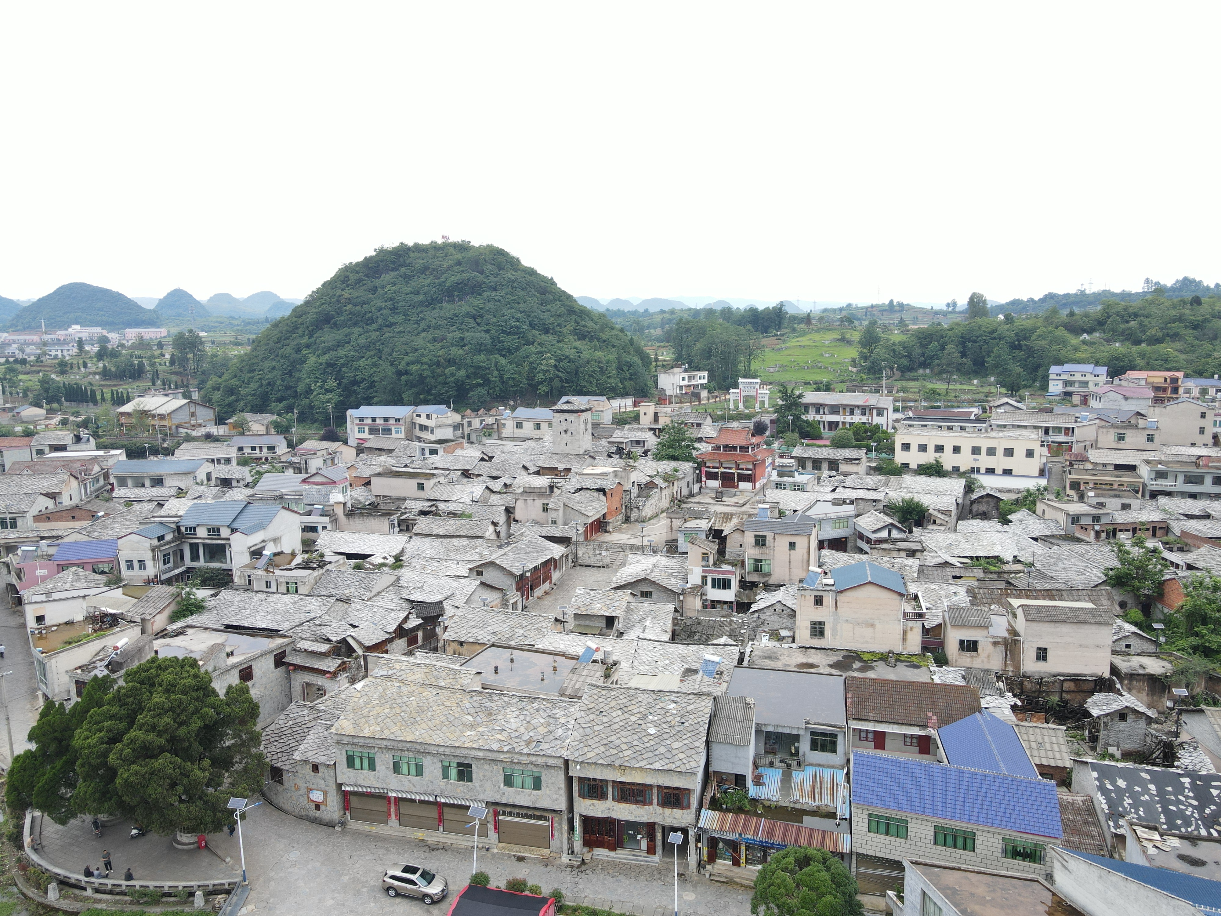 17631169592069.JPG DJI_0048.JPG