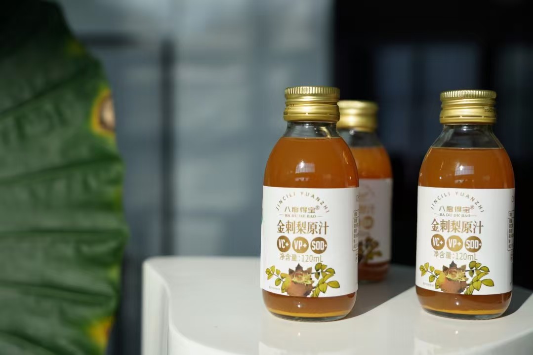 17631225012584.jpg 微信图片_20250416140433.jpg