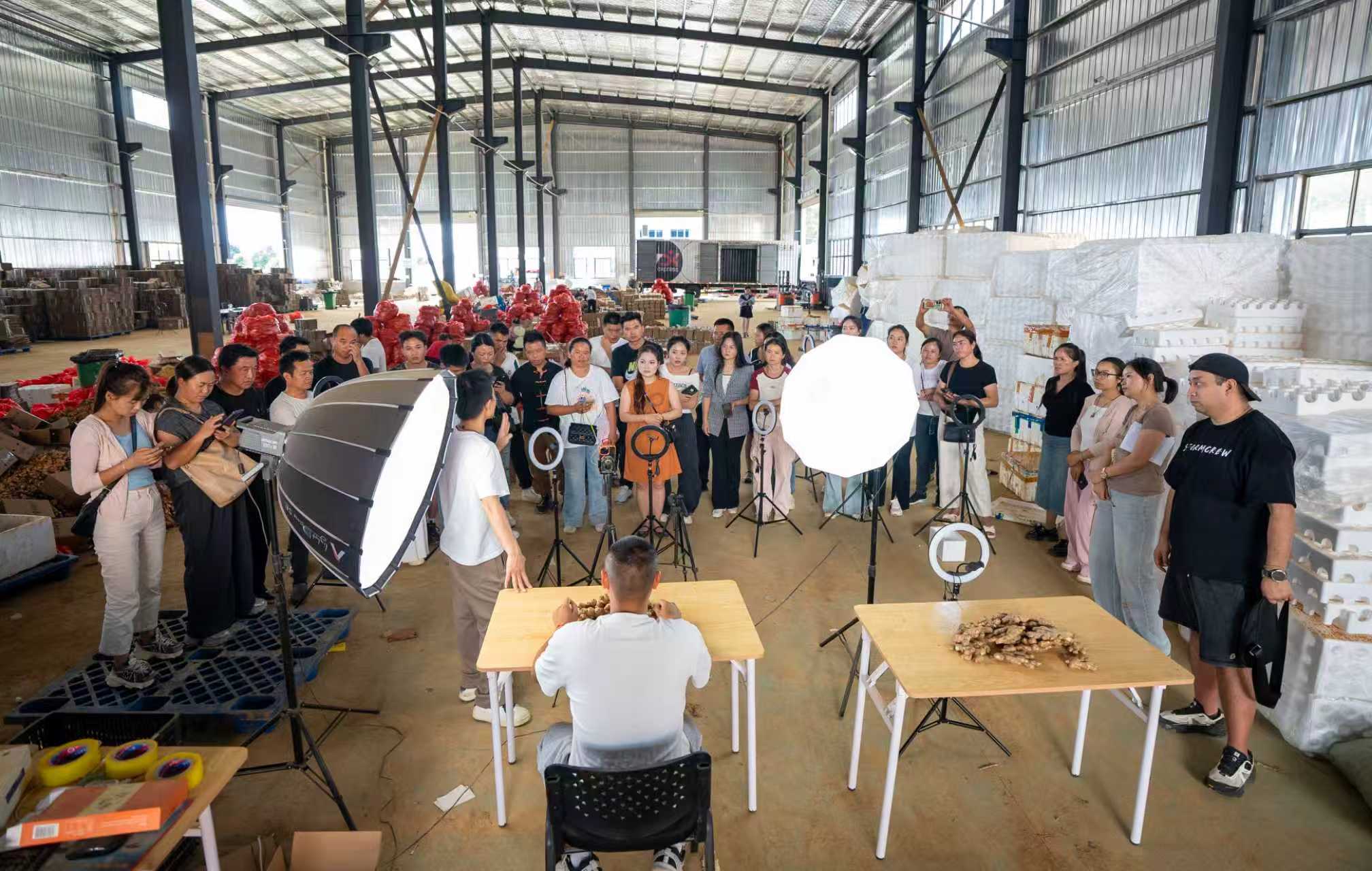 17631375746662.jpg 1113.jpg