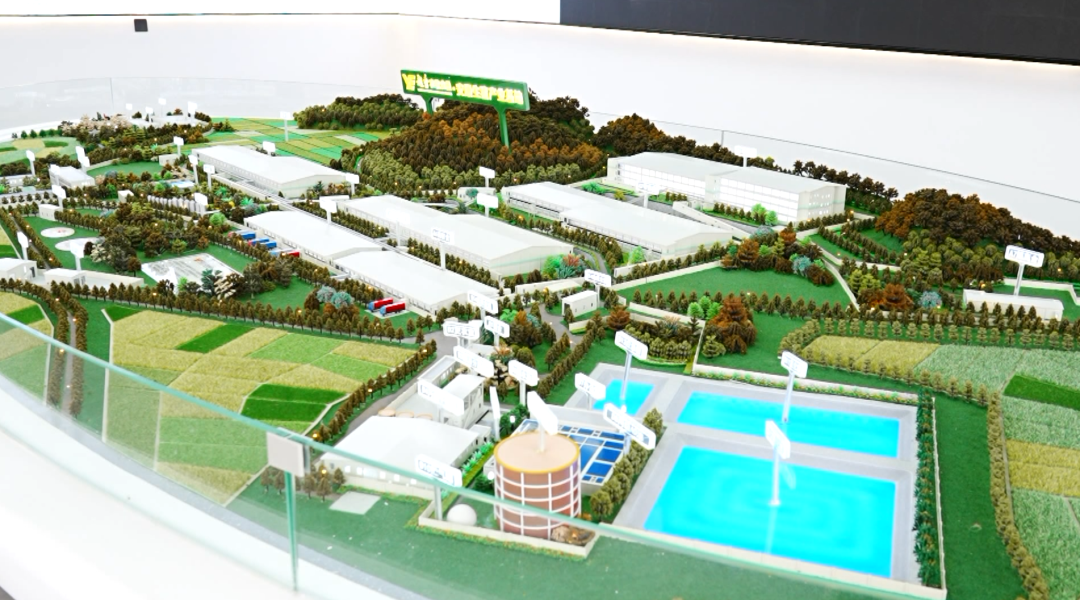 dD0xNzYzMjYxMDI0X3I9MzM1YTU1MDFfdz0xMDgwX3E9MTAwX2U9cG5n.webp 3.png